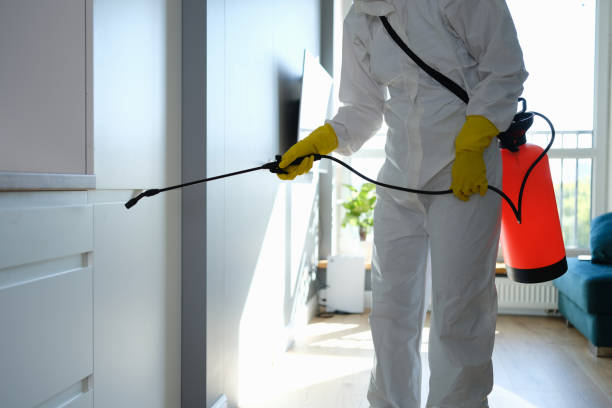 Best Mold Testing  in Lebanon, VA