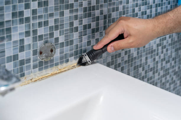 Best Home Mold Removal  in Lebanon, VA