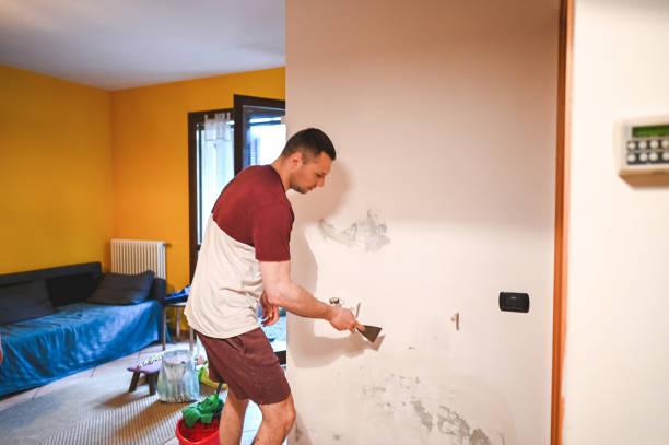 Best Crawl Space Mold Removal  in Lebanon, VA